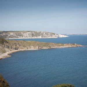 Dorset Coast